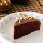 Chocolate Cake with Toasted Almond and Coconut